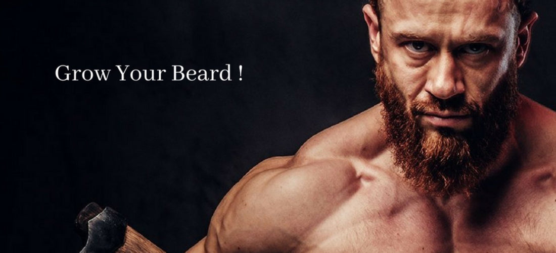 The Complete Guide for Your Viking Beard
